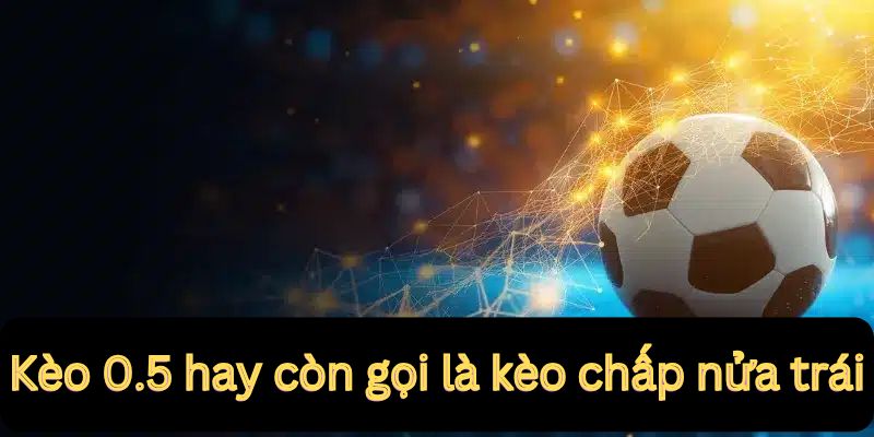 Kèo Handicap – Những Gì Bạn Cần Biết Để Chiến Thắng 6 Kèo handicap 0.5 mong manh như sợi tóc