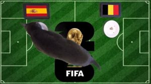 OK9 - Soi kèo Tây Ban Nha vs Bỉ: Mèo tiên tri chọn La Roja