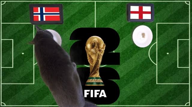 OK9 - Mèo tiên tri dự đoán Na Uy vs Anh: Địa chấn World Cup 2026 1 OK9 - Mèo tiên tri dự đoán Na Uy vs Anh: Địa chấn World Cup 2026