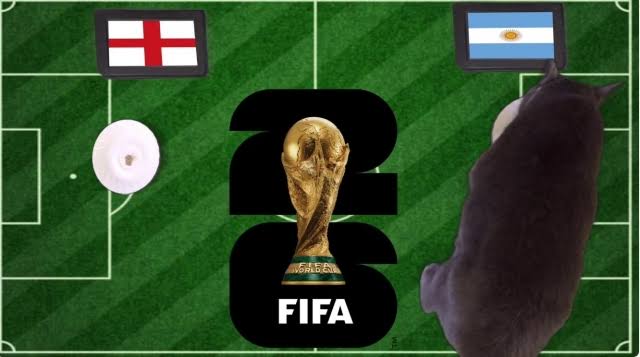 OK9 - Anh vs Argentina: Mèo tiên tri dự đoán sốc